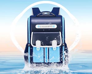 一體式護(hù)脊減負(fù)書(shū)包套裝書(shū)包